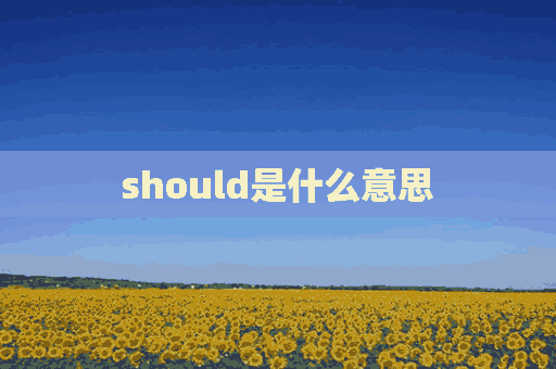 should是什么意思(should是什么意思中文)